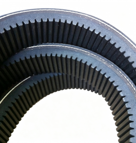 Agriculture Raw edge V-belt